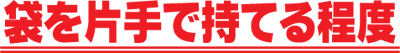片手で持てる程度