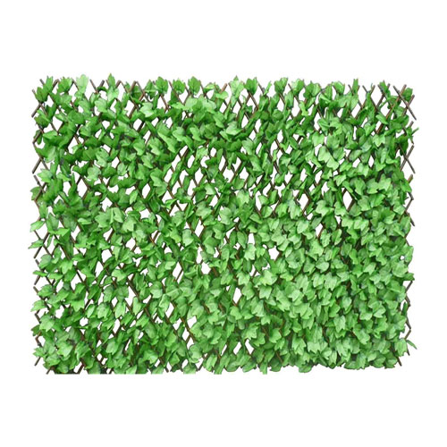 グリーンフェンス アイビー