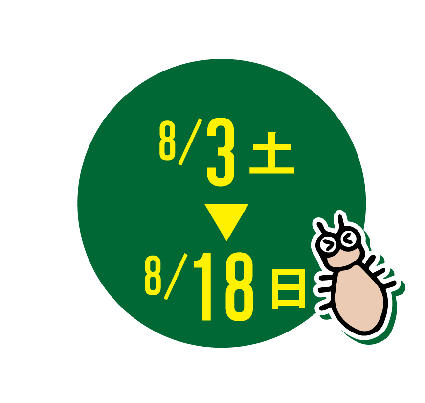 24/8/3~18