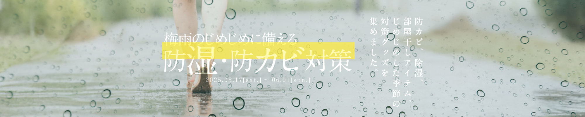 梅雨のジメジメに備える除湿・防カビ対策特集